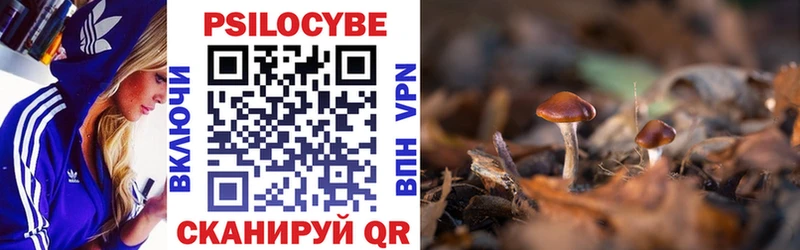 Купить закладки  Михайлов  Галлюциногенные грибы GOLDEN TEACHER 